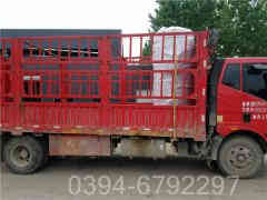 燃气蒸汽锅炉哪家质量好