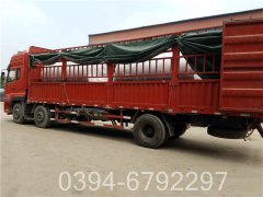 20吨小型热水锅炉