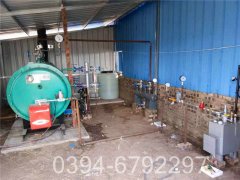 2吨浴池热水锅炉