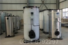 天然气蒸汽锅炉导热油锅炉