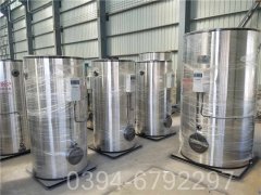 立式蒸汽燃煤锅炉