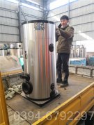 15吨低氮燃气锅炉