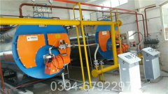 6吨养殖热水锅炉