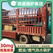 WNS5-1.25-QY环保蒸汽锅炉太康县银晨锅炉厂