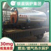 12吨低氮冷凝蒸汽锅炉星空体育（中国）官网-xing kong sports
