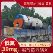 12吨节能蒸汽锅炉银晨锅炉厂