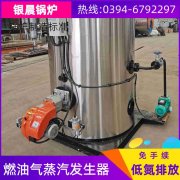 10吨节能蒸汽锅炉太康县银晨锅炉有限公司