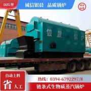 0.2吨冷凝蒸汽锅炉星空体育（中国）官网-xing kong sports
