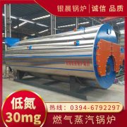 0.3吨低氮蒸汽锅炉星空体育（中国）官网-xing kong sports
