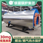 立式燃气锅炉厂家