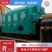 锅炉蒸汽锅炉厂