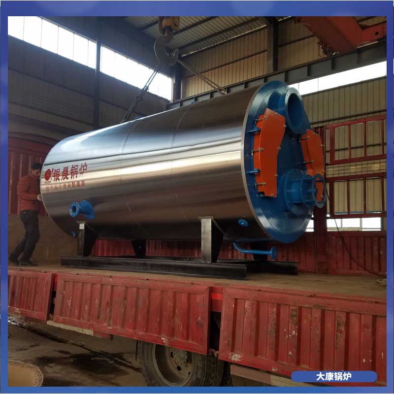 立式生物质锅炉公司