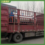 内蒙古CWNS4.2-85/60-QY燃气热水锅炉